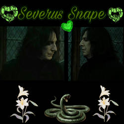 Forever Severus 