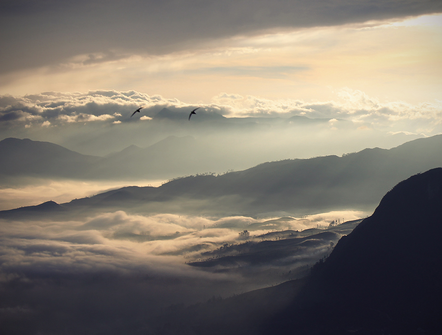 Adam's Peak