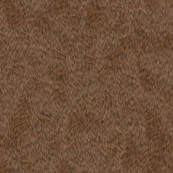 Animal Fur Stock Texture