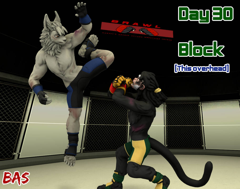Fight Ob Fightober 2024 Day 30: Block by BasRedWolf on DeviantArt