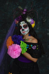 Sugar Skull 1