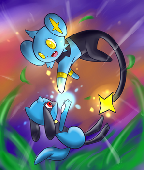 Shinx VS Riolu (para humphreywolf2012)