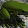 3D Green Frog