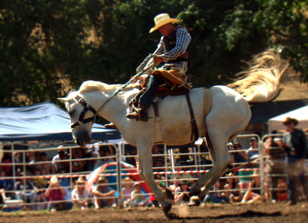 Rockley Rodeo 4 by engaged-vacancy on DeviantArt
