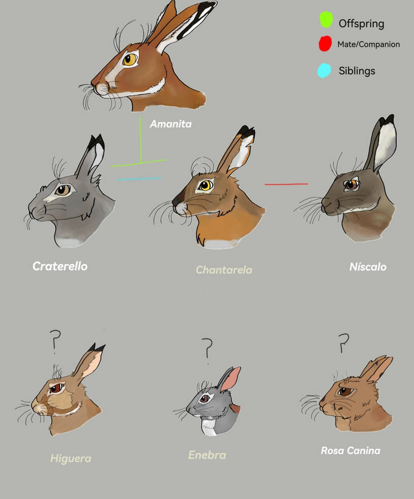 Tree Ocs Leporid/Bunny ocs family tree by Lepurcinus on DeviantArt