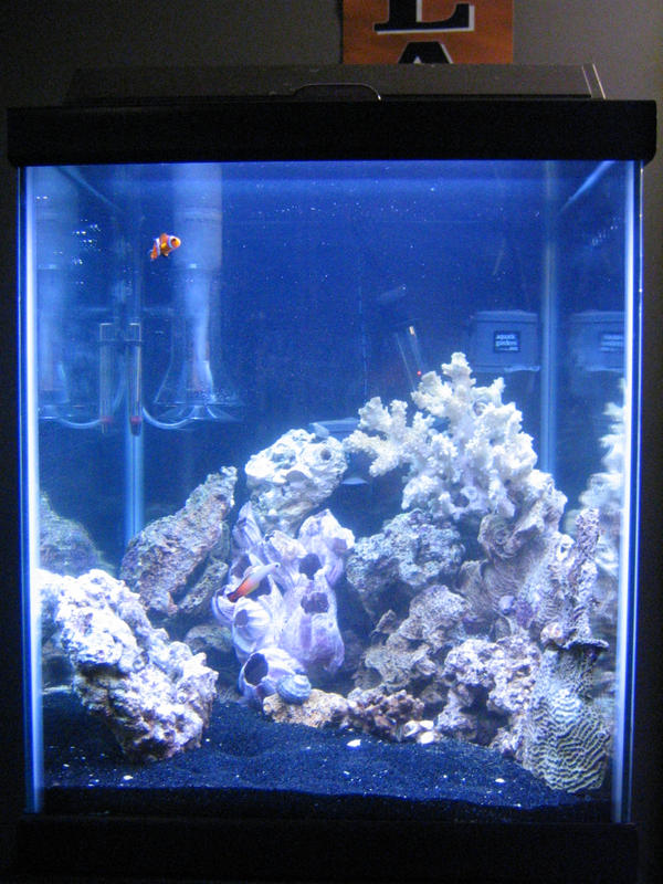 22 Gal To Pt 22 Gal To Pt