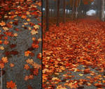 Foggy Autumn by serapart