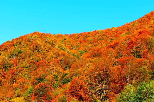 autumn  mountains