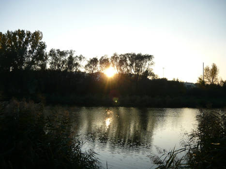 Pond and Sunset