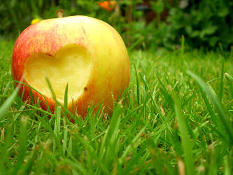 Apple with Heart - Colour