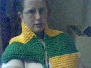 Green Bay Packers scarf