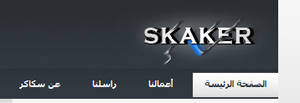 skaker blog logo