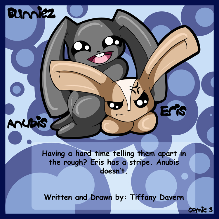 Bunniez 3 Intro