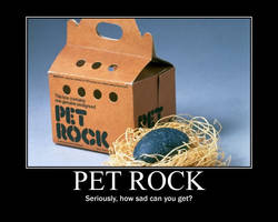 Pet Rock Demotivational Poster