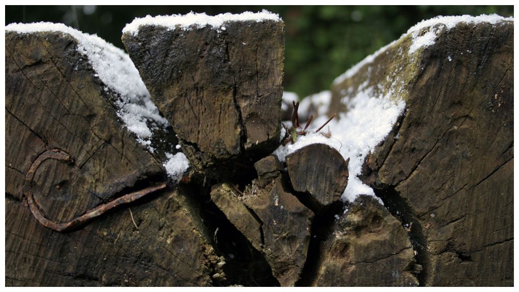 Railway Sleeper