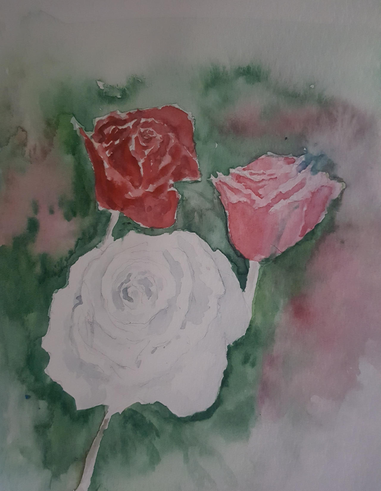 Red White Pink - Best Friends Roses (Sketch) by TominConcord on DeviantArt