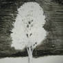 Snow Covered Tree - Detail