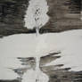 Snow Covered Tree in Reflection
