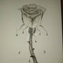 Bloody Rose 24