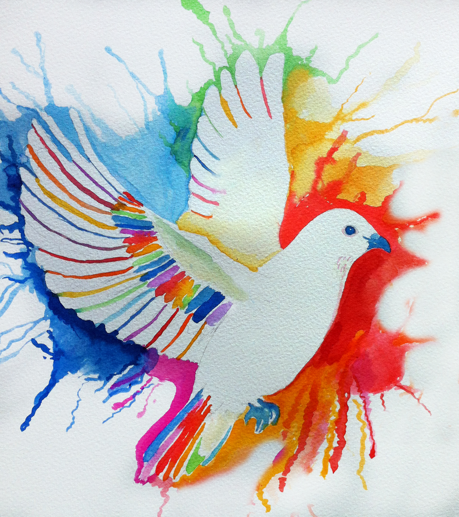 Rainbow Dove