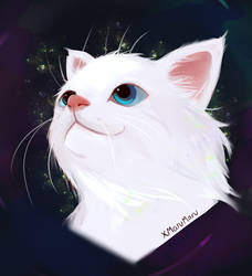 Cat icon commission