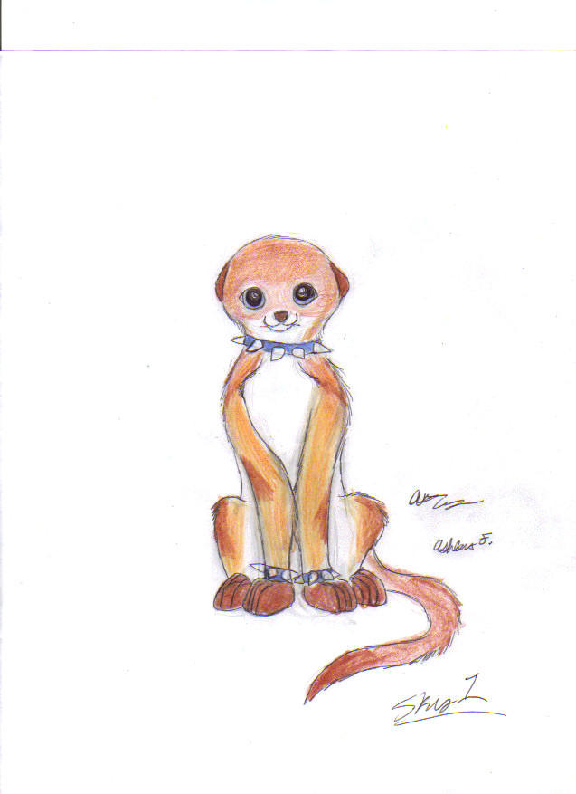 Flutternutter, 2-D by skyprophecy1 on DeviantArt