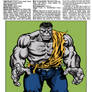 Marvel Handbook Grey Hulk