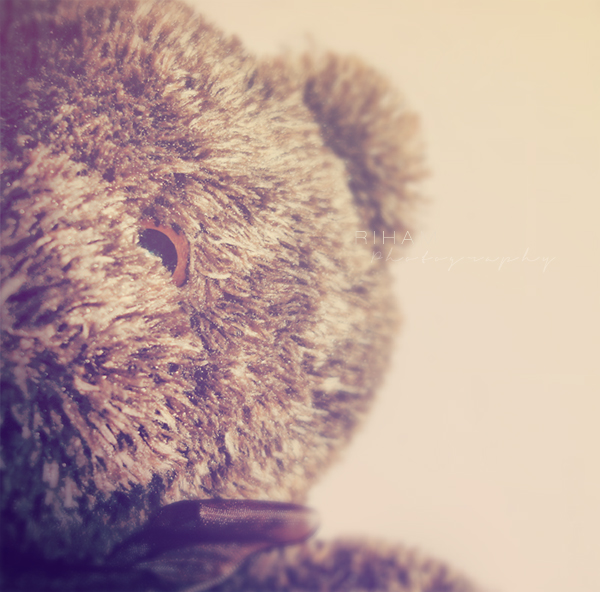 teddy bear