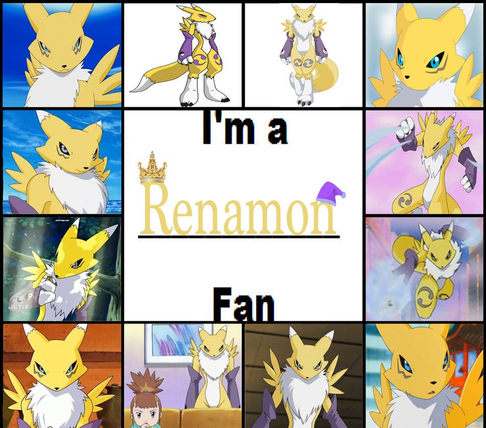 I am Renamon fan