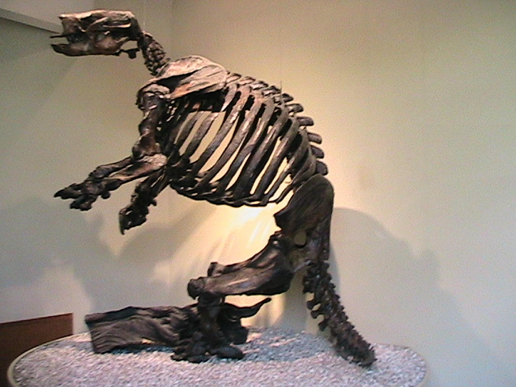 Harlin's Ground Sloth Skeleton by LagovulpesTheGentle on DeviantArt