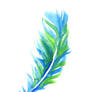 Feather