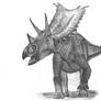 Chasmosaurus