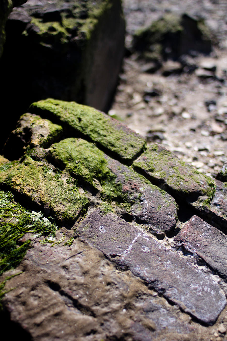 Mossy Bricks