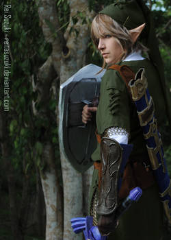 Legend of Zelda - Protector