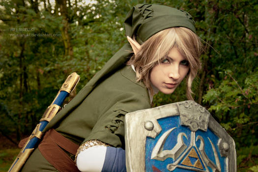 Legend of Zelda - On guard