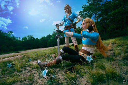 Breath of the Wild - Link and Zelda