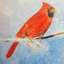 Cardinal