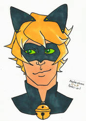 Chat Noir