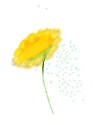 Sketch this: flower