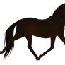 King of the Trot