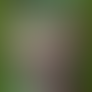 DOUBLE CLICK TO SEE ! Feelings.