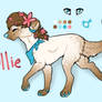 Ollie Ref