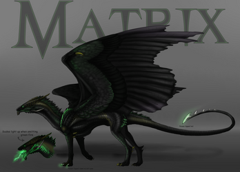 Design: Matrix in dragon form