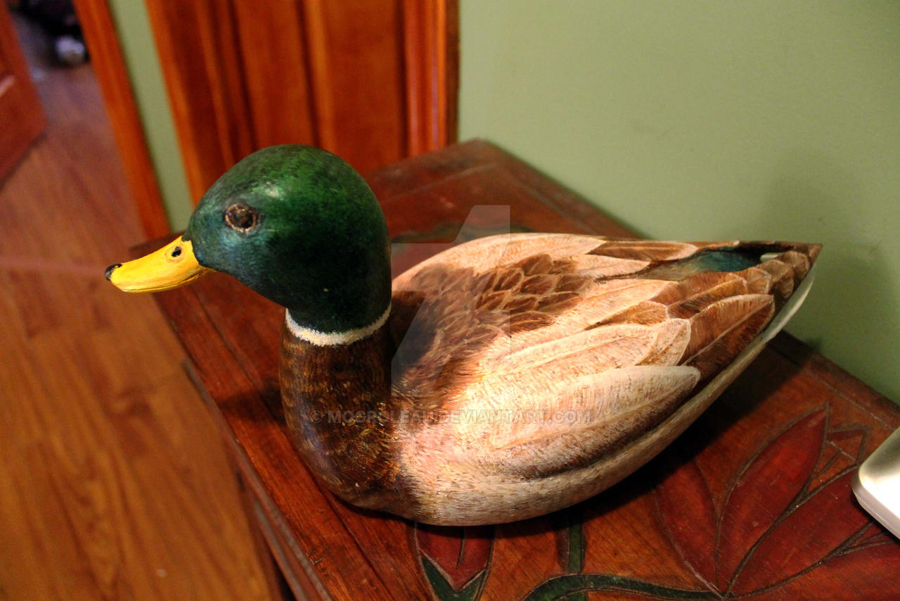 Mallard duck by MoGroleau on DeviantArt