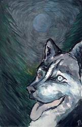 Husky illustration