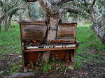 The Old Piano Tree by Crackoala