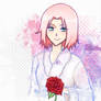 Lovely Sakura