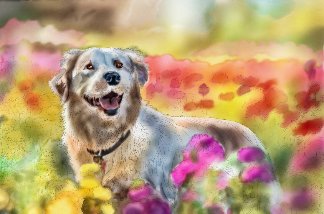 Sunny Labrador by WolfieKateArt on DeviantArt