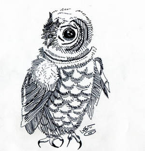 Owl Ink