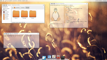 Xubuntu 12.04 Precise Pangolin (17/01/2013)